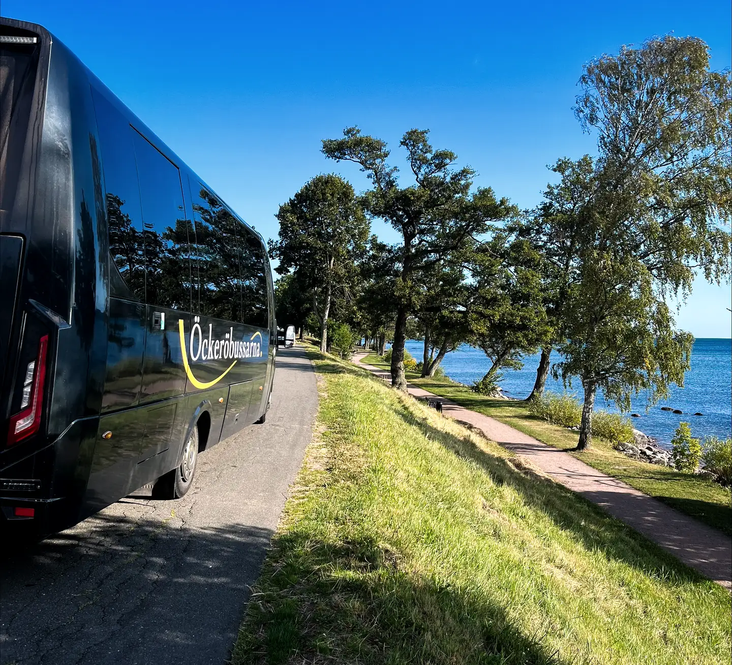 Öckeröbussarnas buss på en väg längs kusten, med träd och havet bredvid